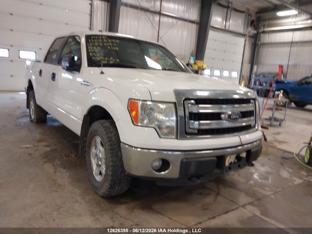 12626395 :رقم المزاد ، 1FTFW1EF0DFC52040 vin ، 2013 Ford F150 Supercrew مزاد بيع