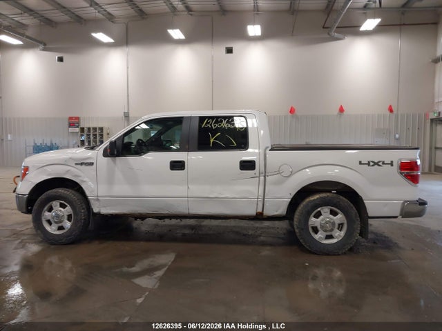 Aukcja sprzedaży 2013 Ford F150 Supercrew, vin: 1FTFW1EF0DFC52040, numer aukcji: 12626395