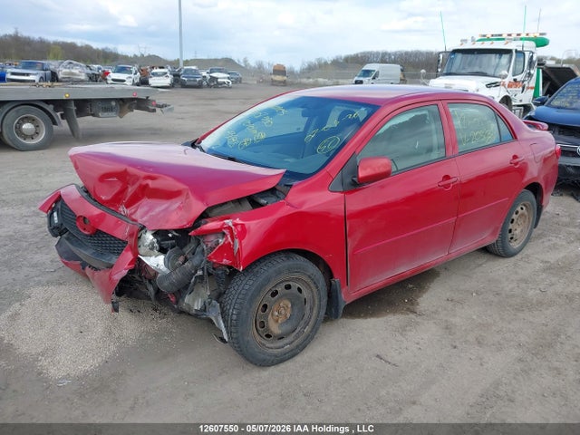 Продаж на аукціоні авто 2010 Toyota Corolla Ce, vin: 2T1BU4EE4AC203683, номер лоту: 12607550
