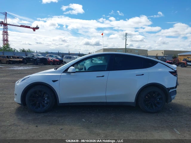 12626439 :رقم المزاد ، 5YJYGDEE6LF059733 vin ، 2020 Tesla Model Y Long Range مزاد بيع