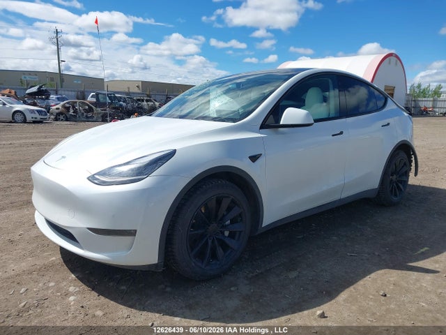 12626439 :رقم المزاد ، 5YJYGDEE6LF059733 vin ، 2020 Tesla Model Y Long Range مزاد بيع