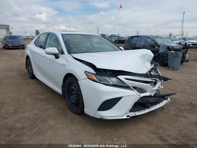 2019 Toyota Camry Hybrid მანქანა იყიდება აუქციონზე, vin: 4T1B21HK9KU520798, აუქციონის ნომერი: 12626464