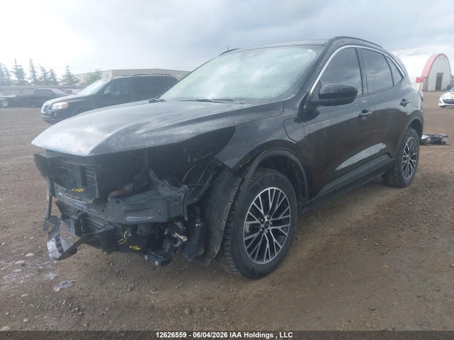 Ford Escape Phev 2024 1FMCU0E13RUA54347 Image 2