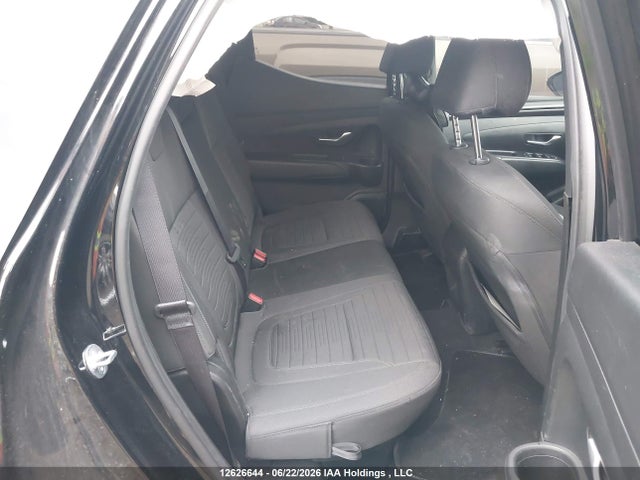 Продаж на аукціоні авто 2024 Hyundai Santa Cruz, vin: 5NTJCDAF1RH089620, номер лоту: 12626644