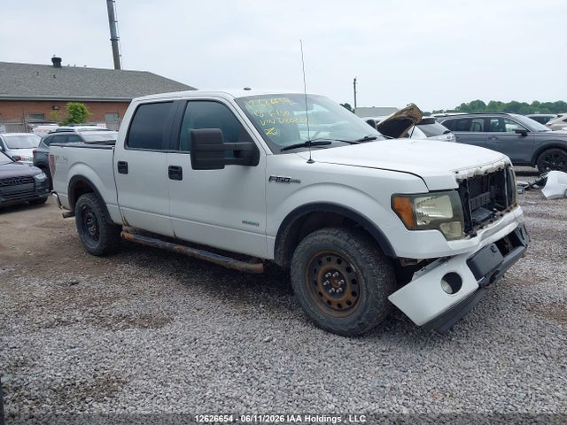 12626654 :رقم المزاد ، 1FTFW1ET1DFD20206 vin ، 2013 Ford F-150 Xlt مزاد بيع