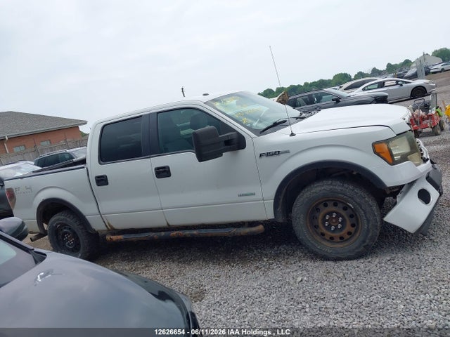 12626654 :رقم المزاد ، 1FTFW1ET1DFD20206 vin ، 2013 Ford F-150 Xlt مزاد بيع