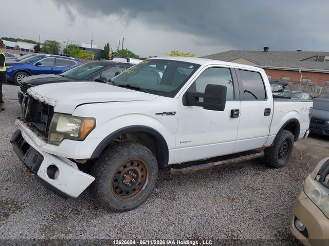 12626654 :رقم المزاد ، 1FTFW1ET1DFD20206 vin ، 2013 Ford F-150 Xlt مزاد بيع