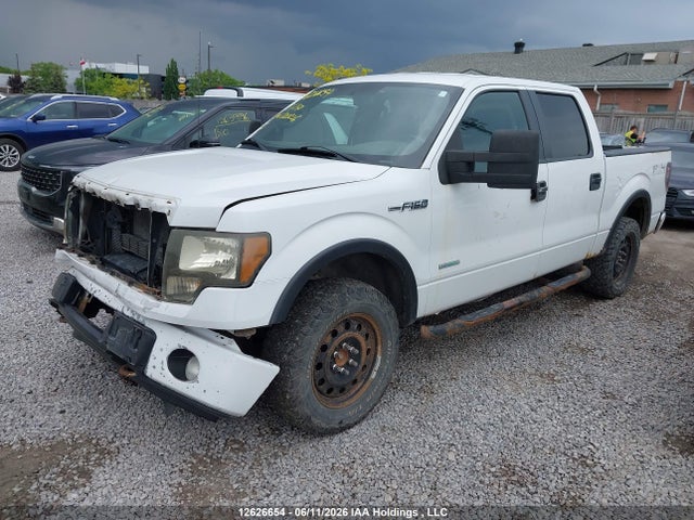 12626654 :رقم المزاد ، 1FTFW1ET1DFD20206 vin ، 2013 Ford F-150 Xlt مزاد بيع
