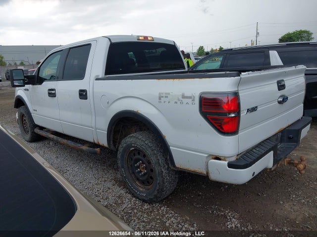 12626654 :رقم المزاد ، 1FTFW1ET1DFD20206 vin ، 2013 Ford F-150 Xlt مزاد بيع