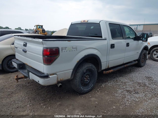 12626654 :رقم المزاد ، 1FTFW1ET1DFD20206 vin ، 2013 Ford F-150 Xlt مزاد بيع