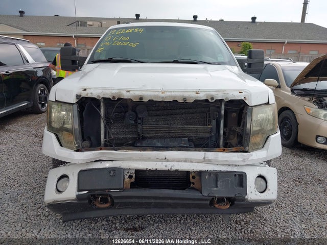 12626654 :رقم المزاد ، 1FTFW1ET1DFD20206 vin ، 2013 Ford F-150 Xlt مزاد بيع