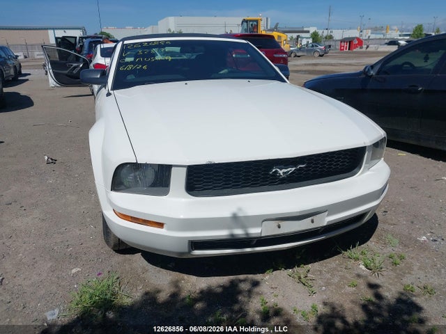 12626856 :رقم المزاد ، 1ZVFT84N475328120 vin ، 2007 Ford Mustang مزاد بيع
