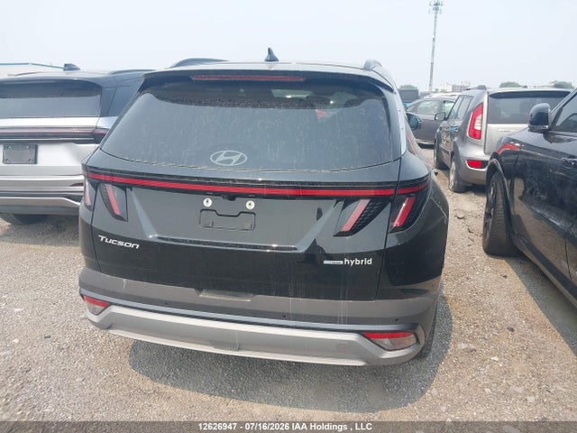 2025 Hyundai Tucson Sel Convenience მანქანა იყიდება აუქციონზე, vin: KM8JCDD1XSU377366, აუქციონის ნომერი: 12626947