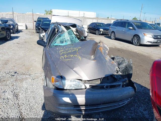 12627047 :رقم المزاد ، 2T1BR12E5XC757179 vin ، 1999 Toyota Corolla Ve/ce/le مزاد بيع