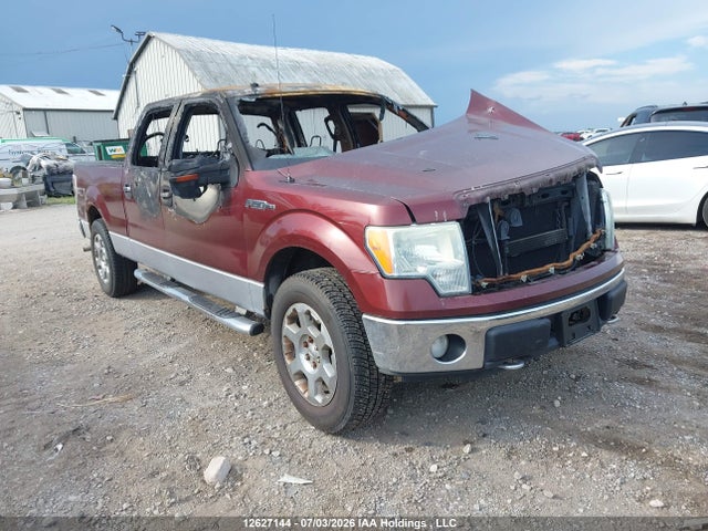 Продажа на аукционе авто 2010 Ford F-150 Fx4/harley-davidson/lariat/xlt, vin: 1FTFW1EV4AFA41264, номер лота: 12627144
