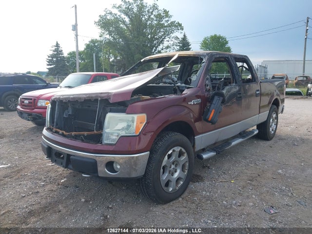 Продажа на аукционе авто 2010 Ford F-150 Fx4/harley-davidson/lariat/xlt, vin: 1FTFW1EV4AFA41264, номер лота: 12627144