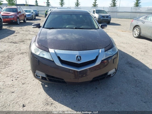 2009 Acura Tl მანქანა იყიდება აუქციონზე, vin: 19UUA96569A801790, აუქციონის ნომერი: 12627192