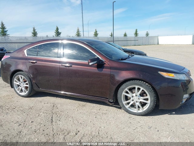 2009 Acura Tl მანქანა იყიდება აუქციონზე, vin: 19UUA96569A801790, აუქციონის ნომერი: 12627192