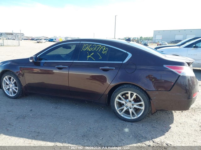 2009 Acura Tl მანქანა იყიდება აუქციონზე, vin: 19UUA96569A801790, აუქციონის ნომერი: 12627192