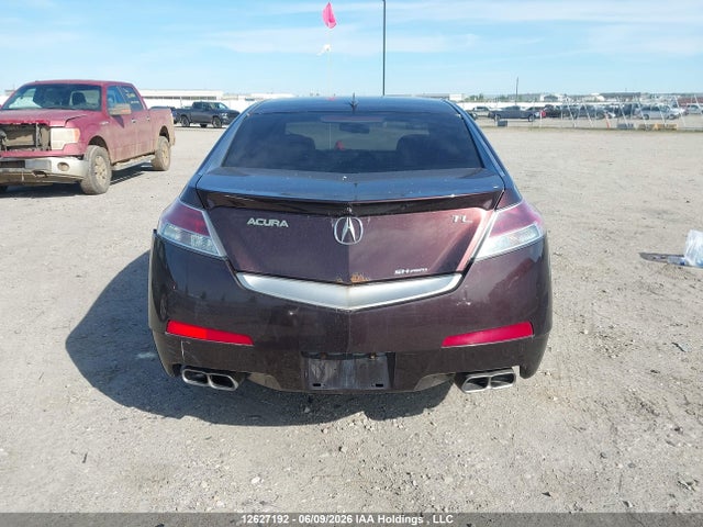 2009 Acura Tl მანქანა იყიდება აუქციონზე, vin: 19UUA96569A801790, აუქციონის ნომერი: 12627192