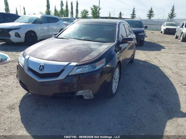 2009 Acura Tl მანქანა იყიდება აუქციონზე, vin: 19UUA96569A801790, აუქციონის ნომერი: 12627192