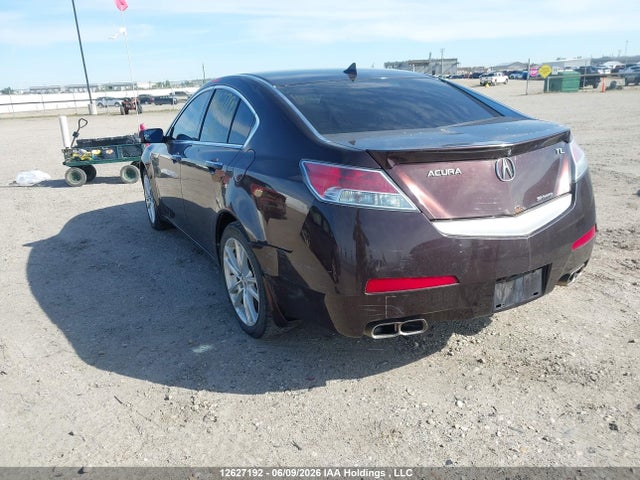 2009 Acura Tl მანქანა იყიდება აუქციონზე, vin: 19UUA96569A801790, აუქციონის ნომერი: 12627192