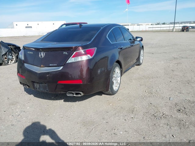 2009 Acura Tl მანქანა იყიდება აუქციონზე, vin: 19UUA96569A801790, აუქციონის ნომერი: 12627192