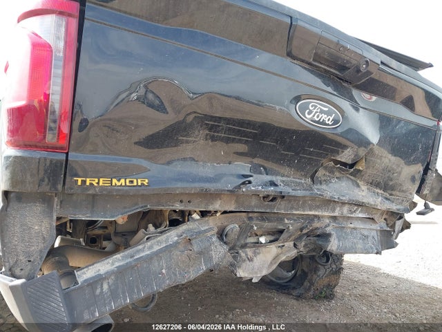 Ford F150 2025 1FTFW4L83SFB99708 Image 20