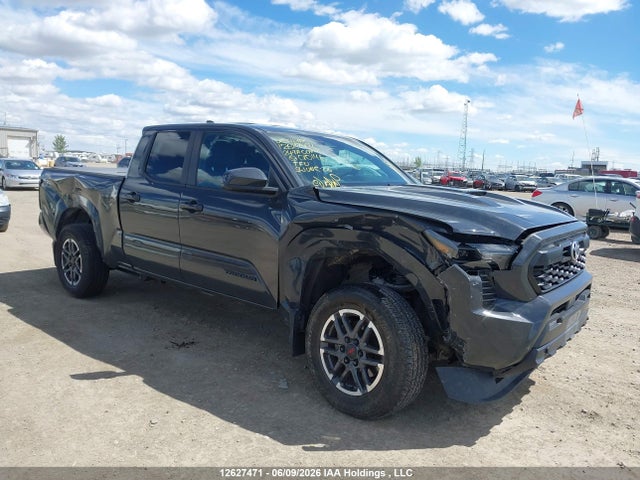 2024 Toyota Tacoma Double Cab/sr5/trd Sport/trd Off Road/ltd მანქანა იყიდება აუქციონზე, vin: 3TYLB5JN3RT010146, აუქციონის ნომერი: 12627471