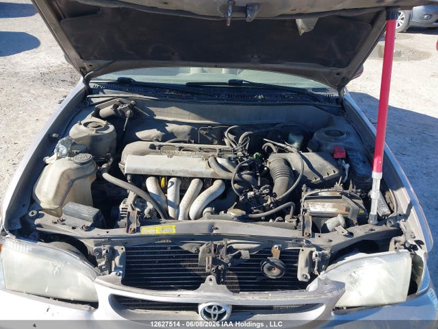 12627514 :رقم المزاد ، 2T1BR12E6XC752282 vin ، 1999 Toyota Corolla Ce/le مزاد بيع