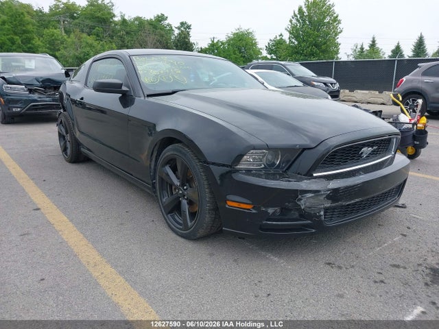 Ford Mustang 2014 1ZVBP8AM7E5307712 главное изображение