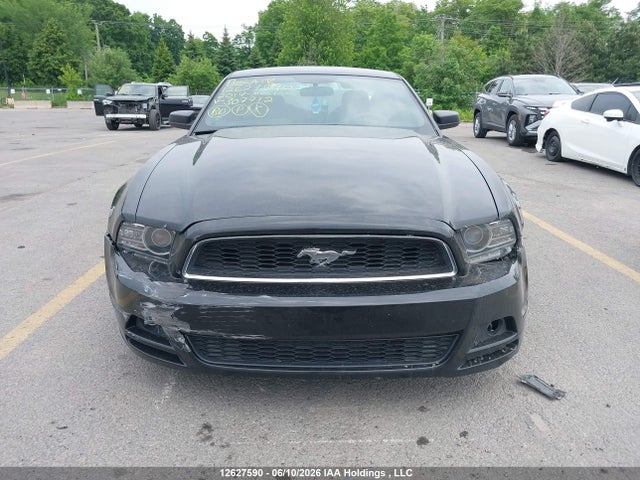 Ford Mustang 2014 1ZVBP8AM7E5307712 Image 12