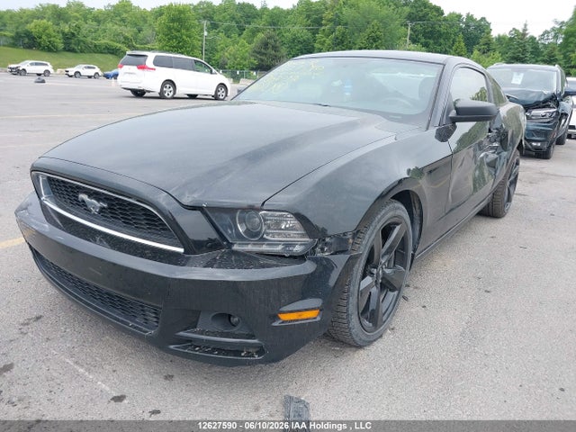 Ford Mustang 2014 1ZVBP8AM7E5307712 Image 2