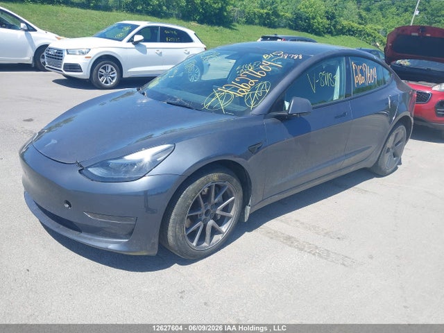 Продажа на аукционе авто 2023 Tesla Model 3 Rwd, vin: LRW3E1FA7PC891849, номер лота: 12627604