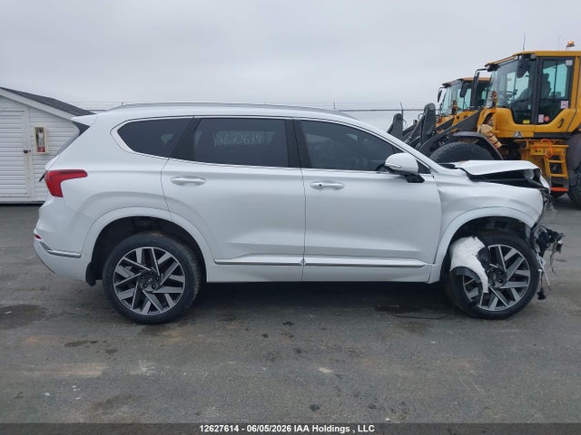 2023 Hyundai Santa Fe Calligraphy მანქანა იყიდება აუქციონზე, vin: 5NMS5DAL3PH483665, აუქციონის ნომერი: 12627614