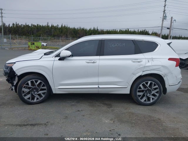 2023 Hyundai Santa Fe Calligraphy მანქანა იყიდება აუქციონზე, vin: 5NMS5DAL3PH483665, აუქციონის ნომერი: 12627614