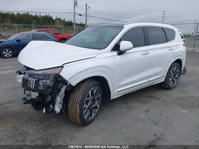 2023 Hyundai Santa Fe Calligraphy მანქანა იყიდება აუქციონზე, vin: 5NMS5DAL3PH483665, აუქციონის ნომერი: 12627614