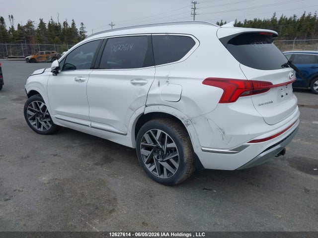 2023 Hyundai Santa Fe Calligraphy მანქანა იყიდება აუქციონზე, vin: 5NMS5DAL3PH483665, აუქციონის ნომერი: 12627614