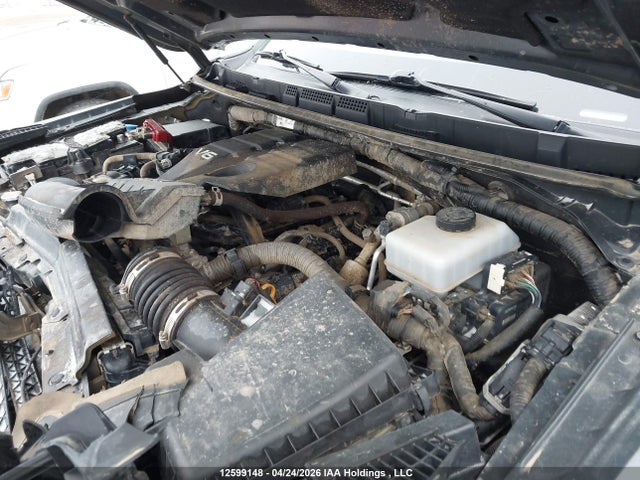 2023 Nissan Frontier Sv მანქანა იყიდება აუქციონზე, vin: 1N6ED1FK9PN649539, აუქციონის ნომერი: 12599148