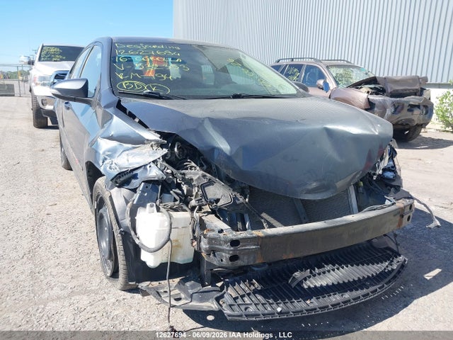 2T1BURHE4GC532353 Toyota Corolla L/le/le Pls/prm/s/s Pls