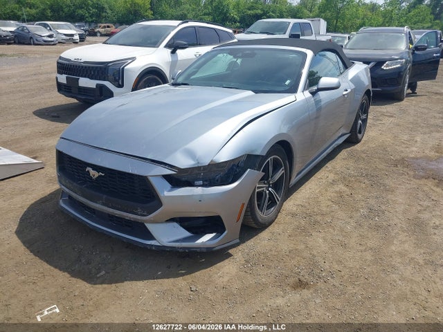 Продаж на аукціоні авто 2025 Ford Mustang, vin: 1FAGP8UH4S5116340, номер лоту: 12627722