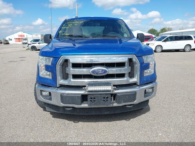 Aukcja sprzedaży 2016 Ford F-150 Xlt, vin: 1FTEW1EP8GKD91025, numer aukcji: 12604827