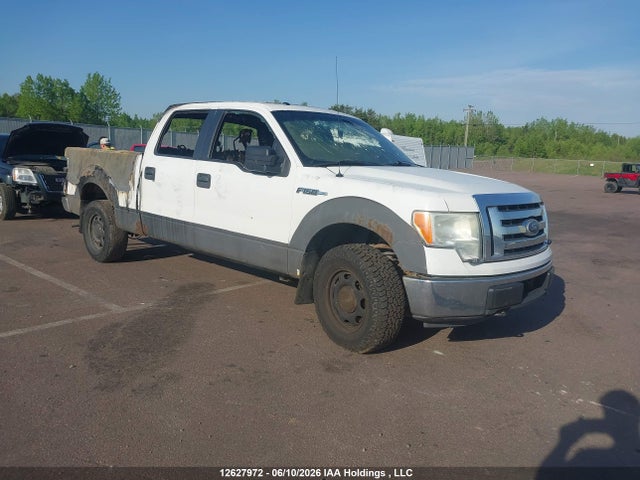 Продаж на аукціоні авто 2010 Ford F-150 Xlt, vin: 1FTFW1E80AFC07774, номер лоту: 12627972