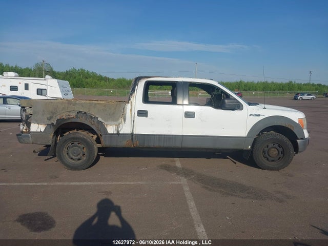 12627972 :رقم المزاد ، 1FTFW1E80AFC07774 vin ، 2010 Ford F-150 Xlt مزاد بيع