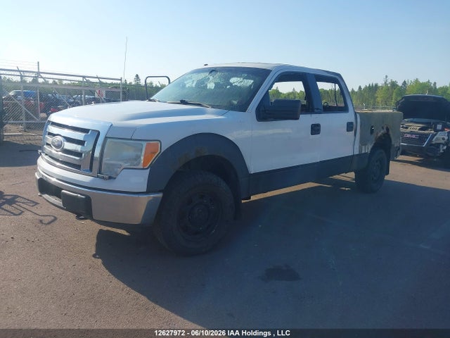 12627972 :رقم المزاد ، 1FTFW1E80AFC07774 vin ، 2010 Ford F-150 Xlt مزاد بيع