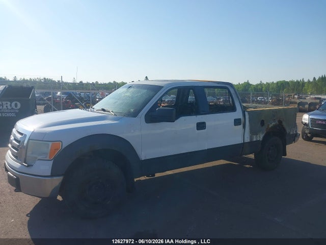 12627972 :رقم المزاد ، 1FTFW1E80AFC07774 vin ، 2010 Ford F-150 Xlt مزاد بيع