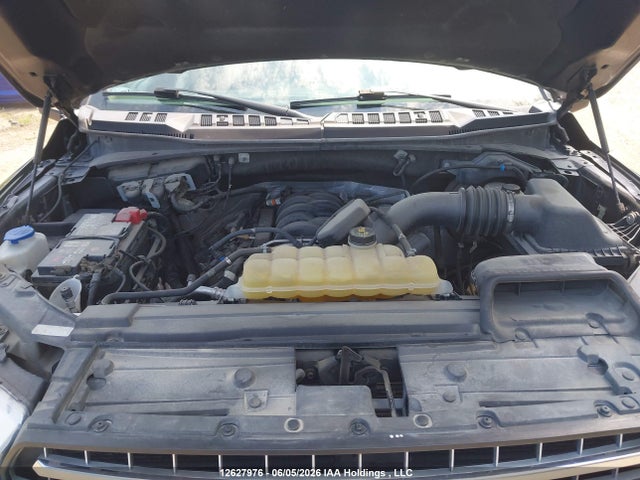 Продажа на аукционе авто 2020 Ford F-150 Xlt, vin: 1FTEW1E51LKE20695, номер лота: 12627976