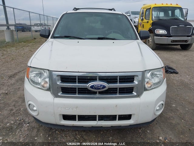 12628239 :رقم المزاد ، 1FMCU0D71CKC32393 vin ، 2012 Ford Escape Xlt مزاد بيع