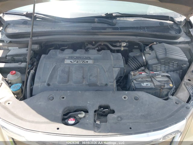2008 Honda Odyssey Ex-l მანქანა იყიდება აუქციონზე, vin: 5FNRL38678B504048, აუქციონის ნომერი: 12628246