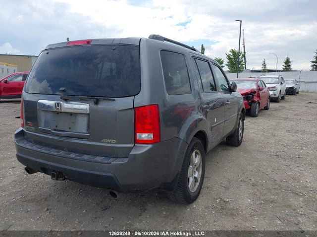 2011 Honda Pilot Ex-l მანქანა იყიდება აუქციონზე, vin: 5FNYF4H64BB504895, აუქციონის ნომერი: 12628248